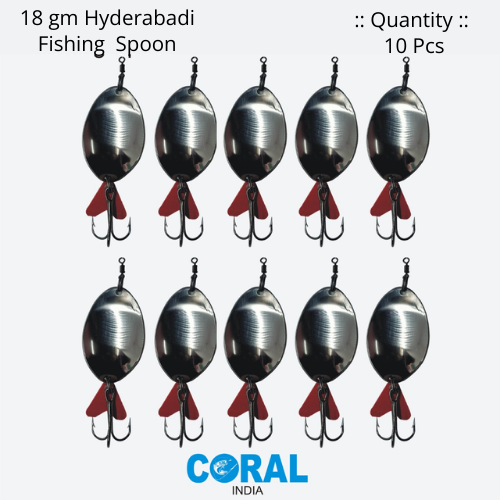 18 gm HYDERABADI 10
