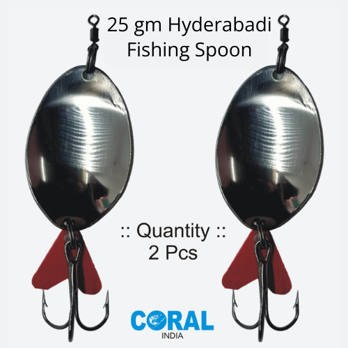 25 gm HYDERABADI 02
