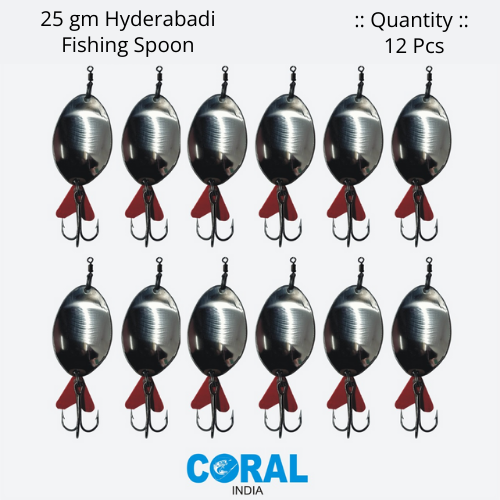 25 gm HYDERABADI 12