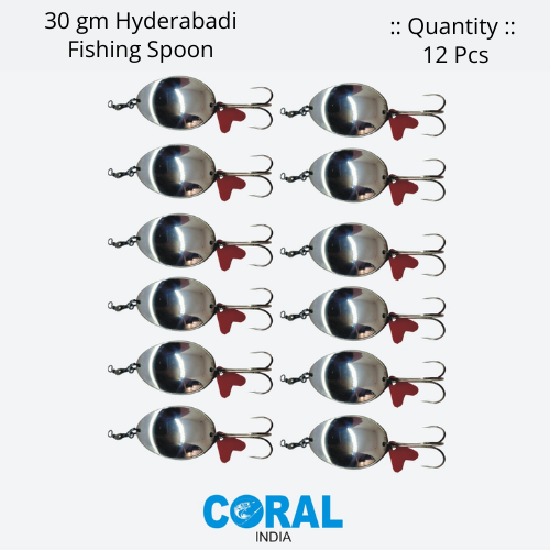 30 gm HYDERABADI 12