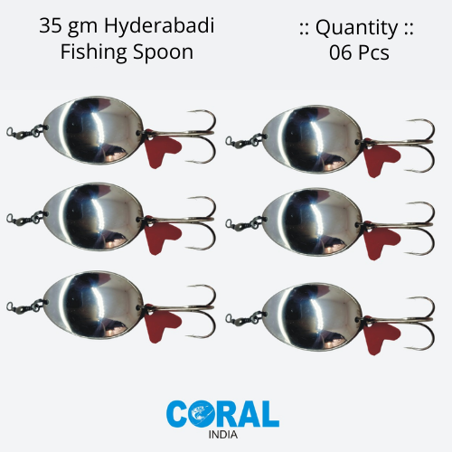 35 gm HYDERABADI 06