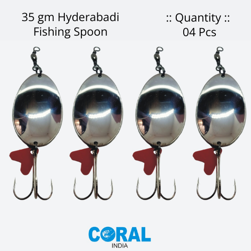 45 gm HYDERABADI 04