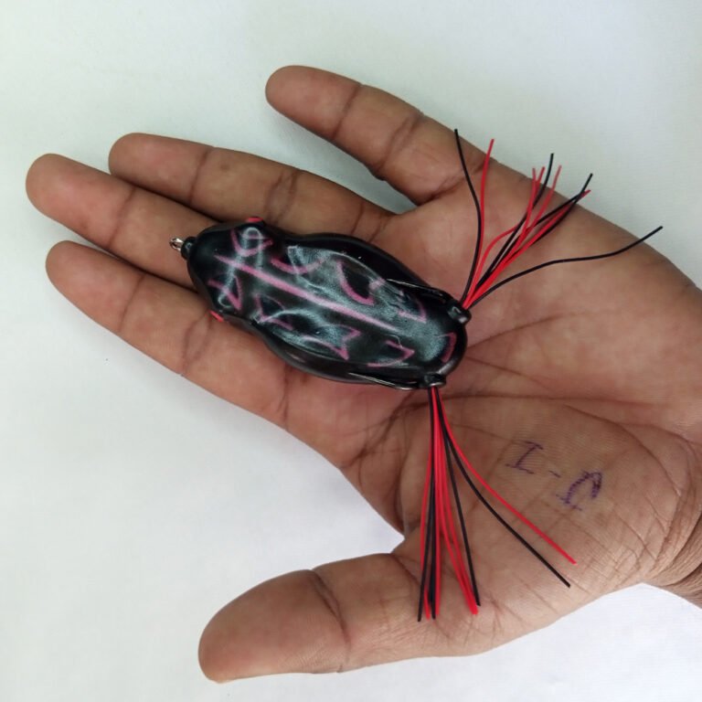 IMG_20251010_121421_669