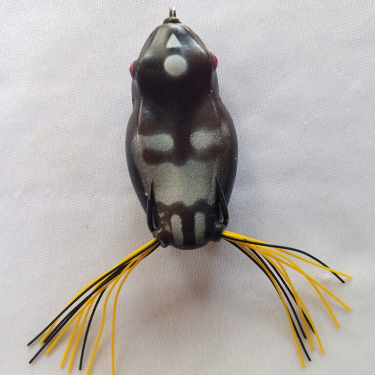 IMG_20251010_114656_325