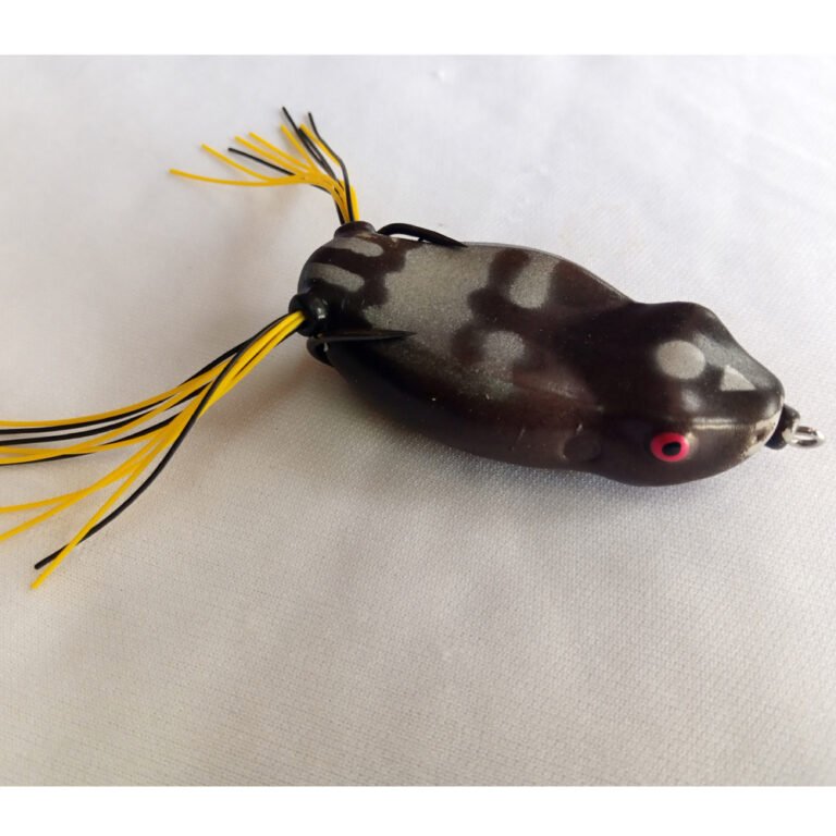 IMG_20251010_114656_325